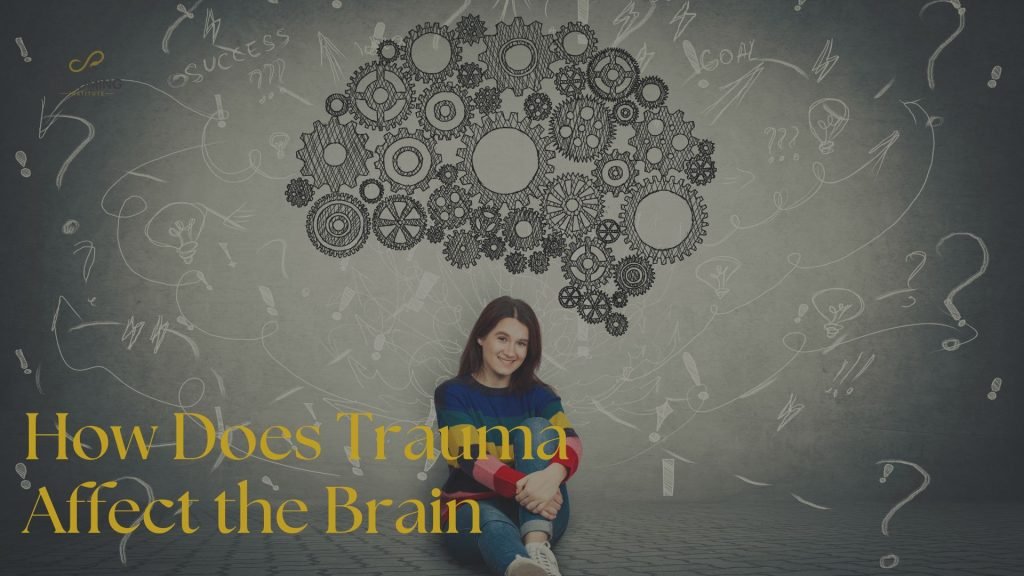 Visual representation of how trauma affects the brain